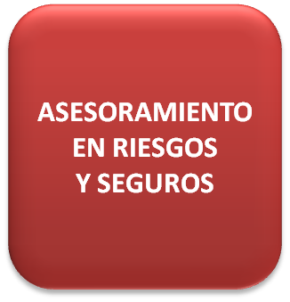 Risk management para instituciones