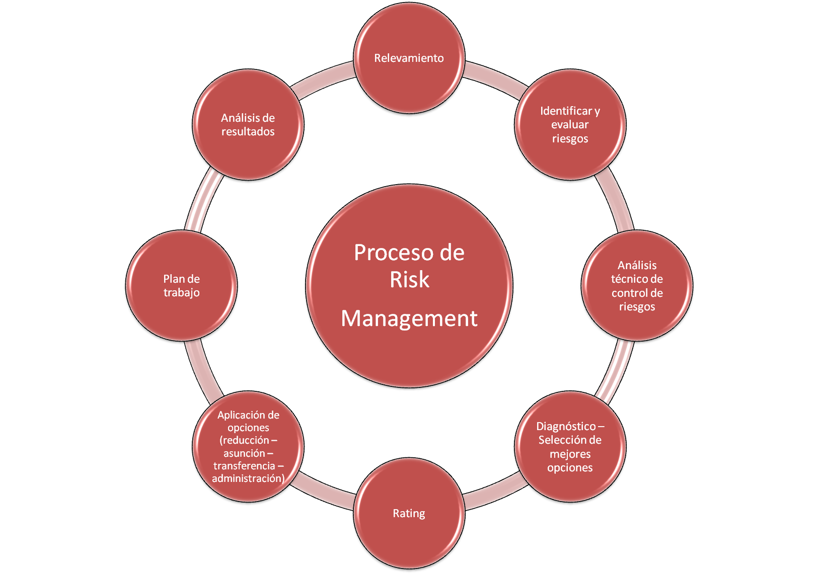 Proceso de risk management