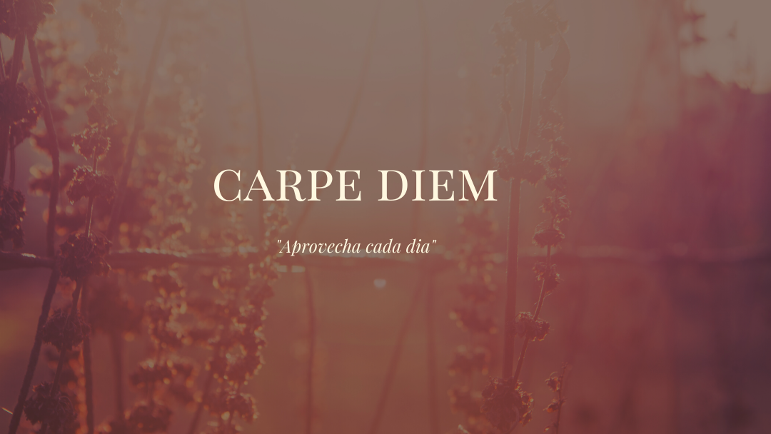 "Carpe diem quam minimum credula postero"
