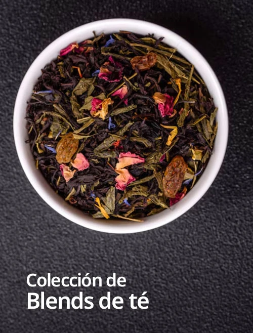 LA COLECCIÓN TESAI