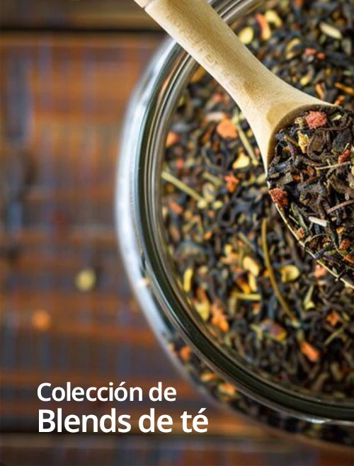 LA COLECCIÓN TESAI