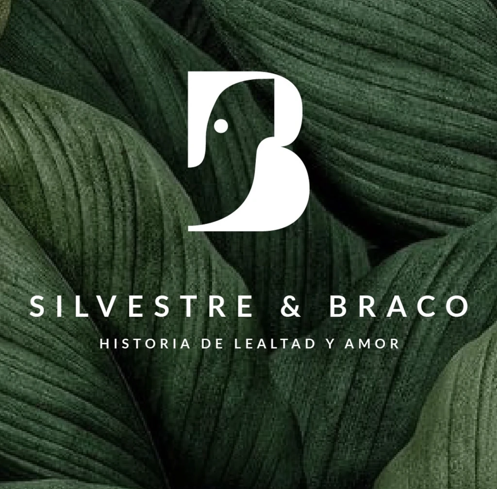 silvestre y braco
