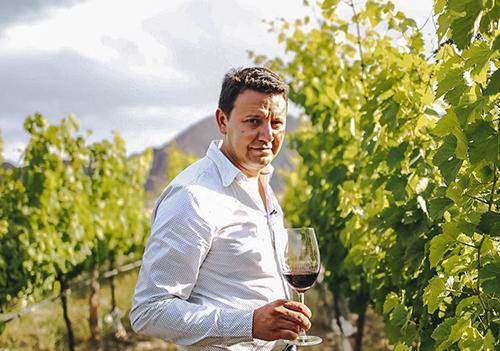 VIII - Cabernet Franc - Jorge Noguera