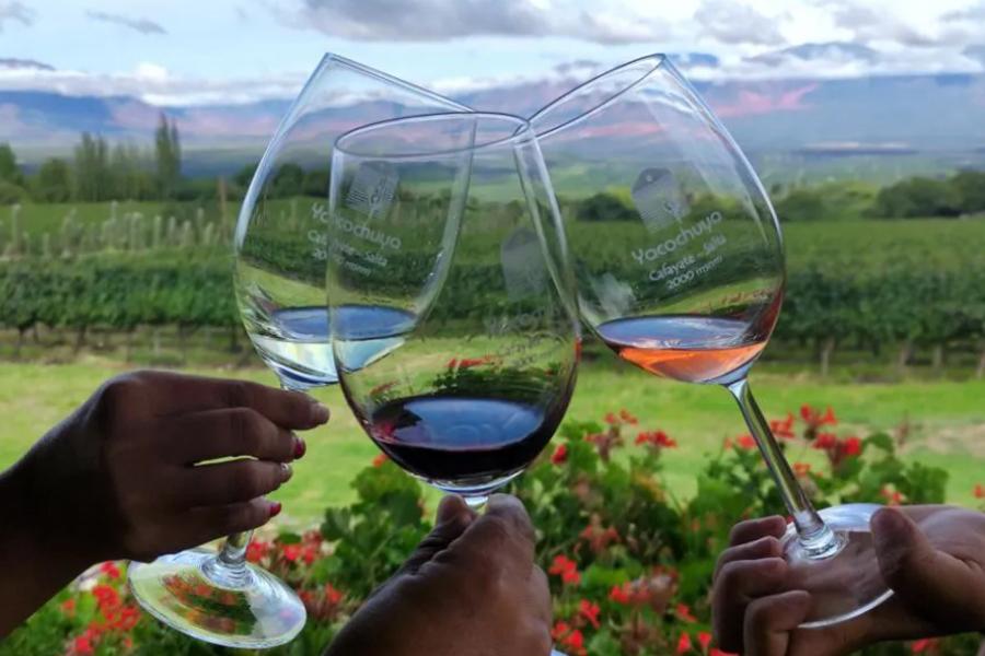 Impuestos altos, logística costosa y caída de la demanda, la difícil realidad del vino salteño