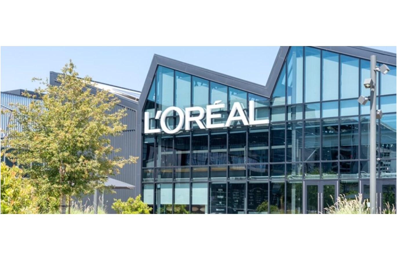 El grupo L’Oréal producirá feromonas en Mendoza para combatir la polilla de la vid