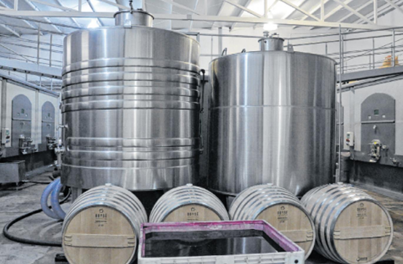 "La Génesis del Vino" reunirá en Cafayate a la cadena de valor vitivinícola