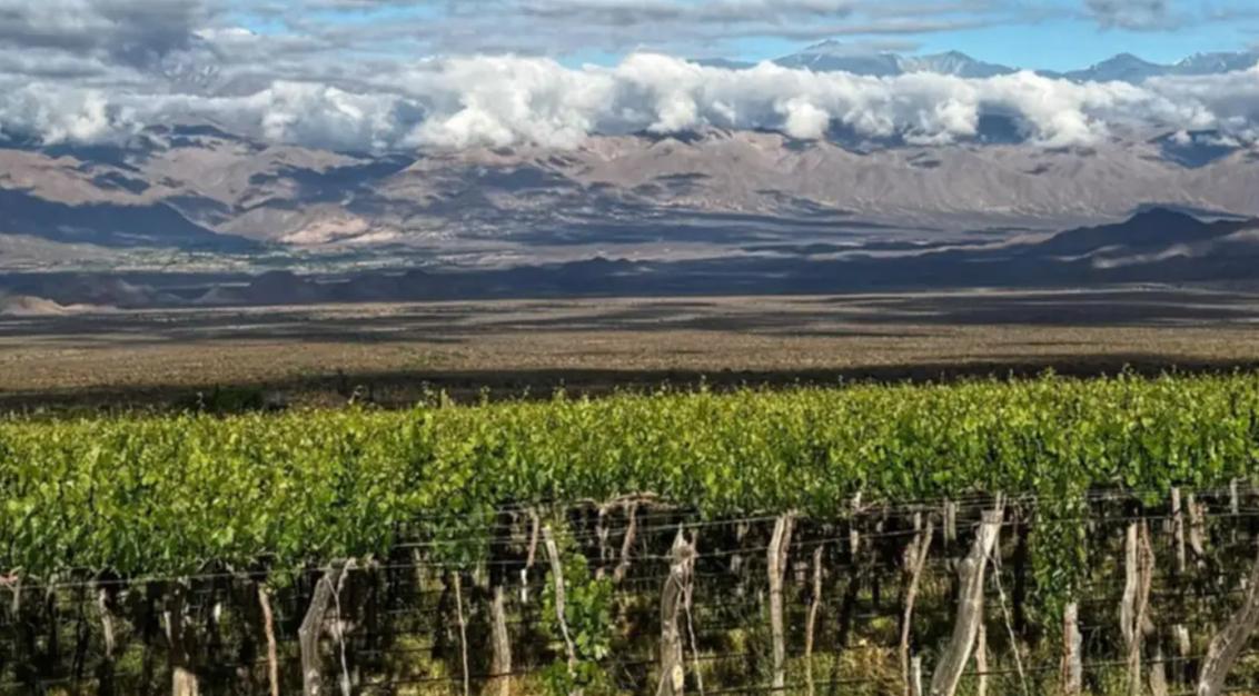 “La génesis del vino” se vivirá en Cafayate