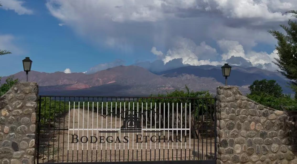 Nuevo dueño: Molinos Río de la Plata compró una conocida bodega salteña y se expande en el negocio del vino