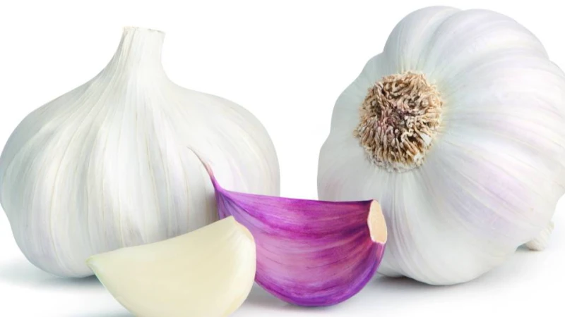 Cuatro antibióticos Naturales
