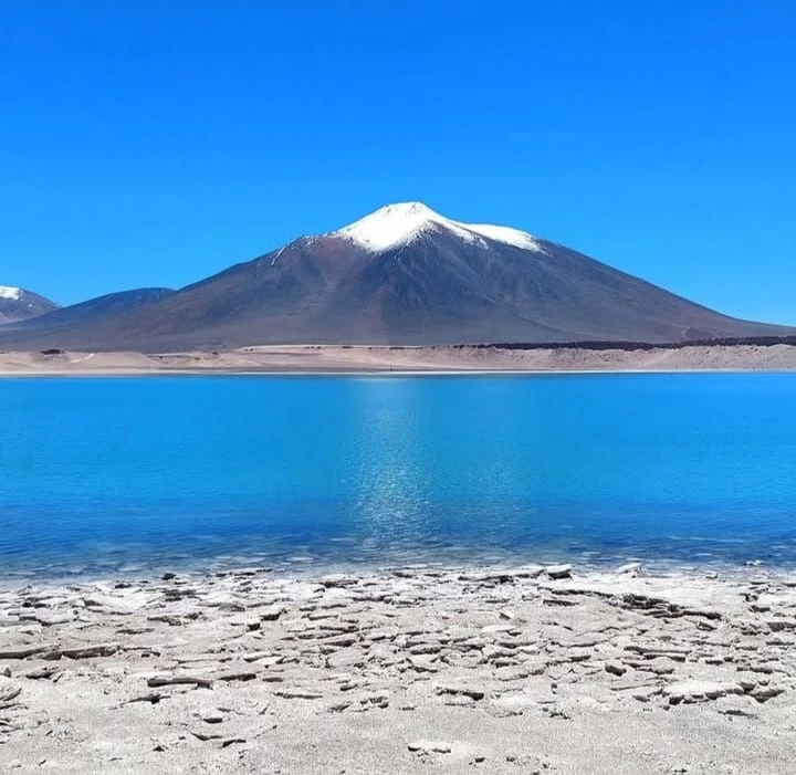 Playa de arena blanca con palmeras