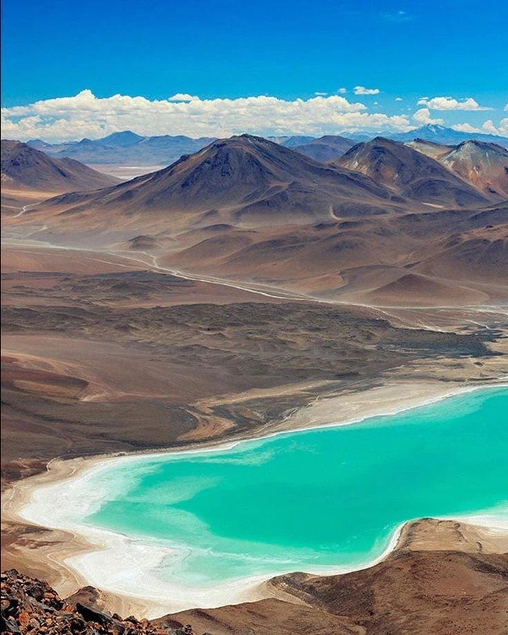 Playa de arena blanca con palmeras