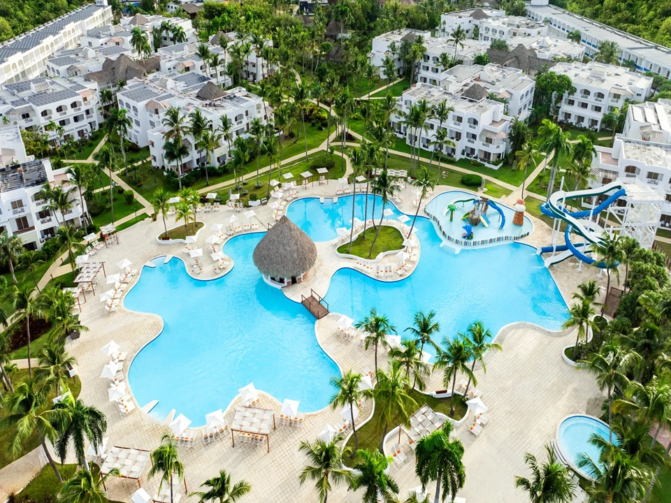 Playa de arena blanca con palmeras