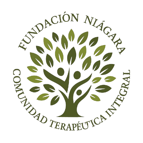 FUNDACIÓN NIÁGARA