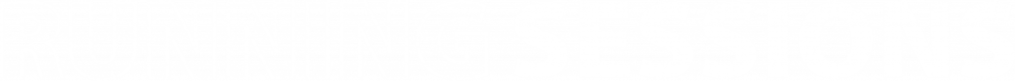 LOGO RUFUS