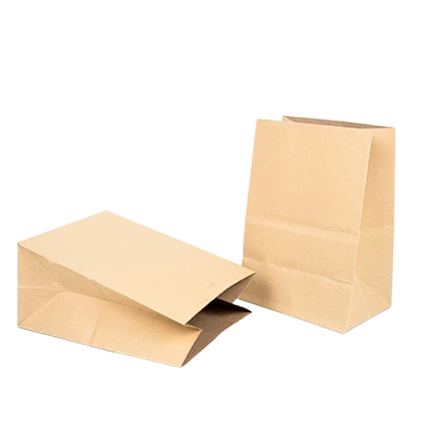https://ss-cnt-001c.esmsv.com/r/content/host1/b561272b72b7e291d4a2006040008f2e/editor/400x400%20bolsa%20delivery.webp