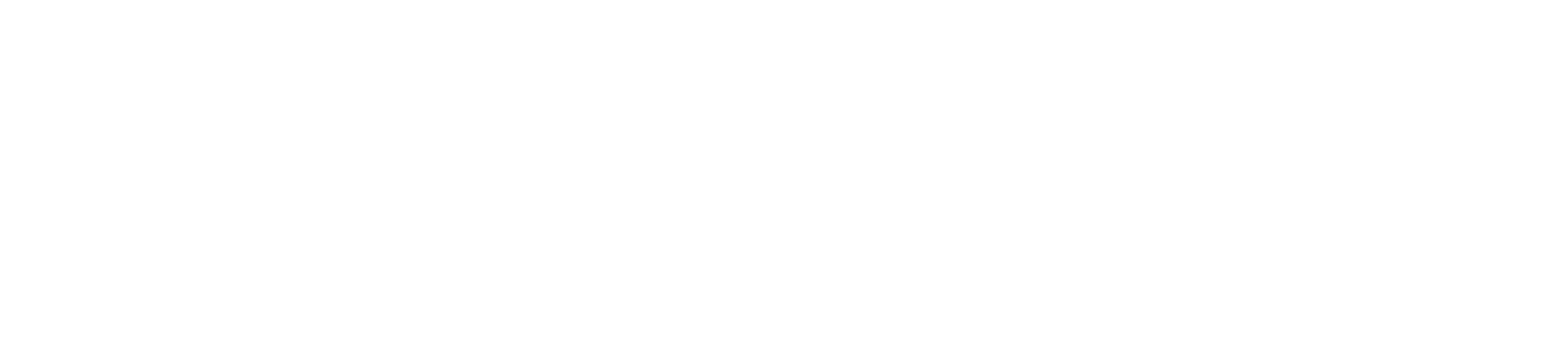 MS Mayoristas