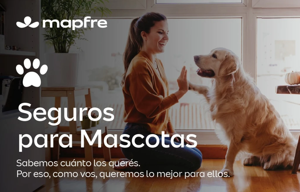 10554-MAP-Seguro-para-Mascotas-(7683).webp