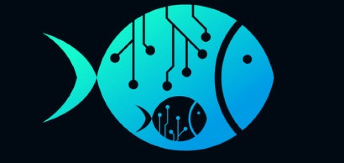 FishTax | Tax Accounting Experience