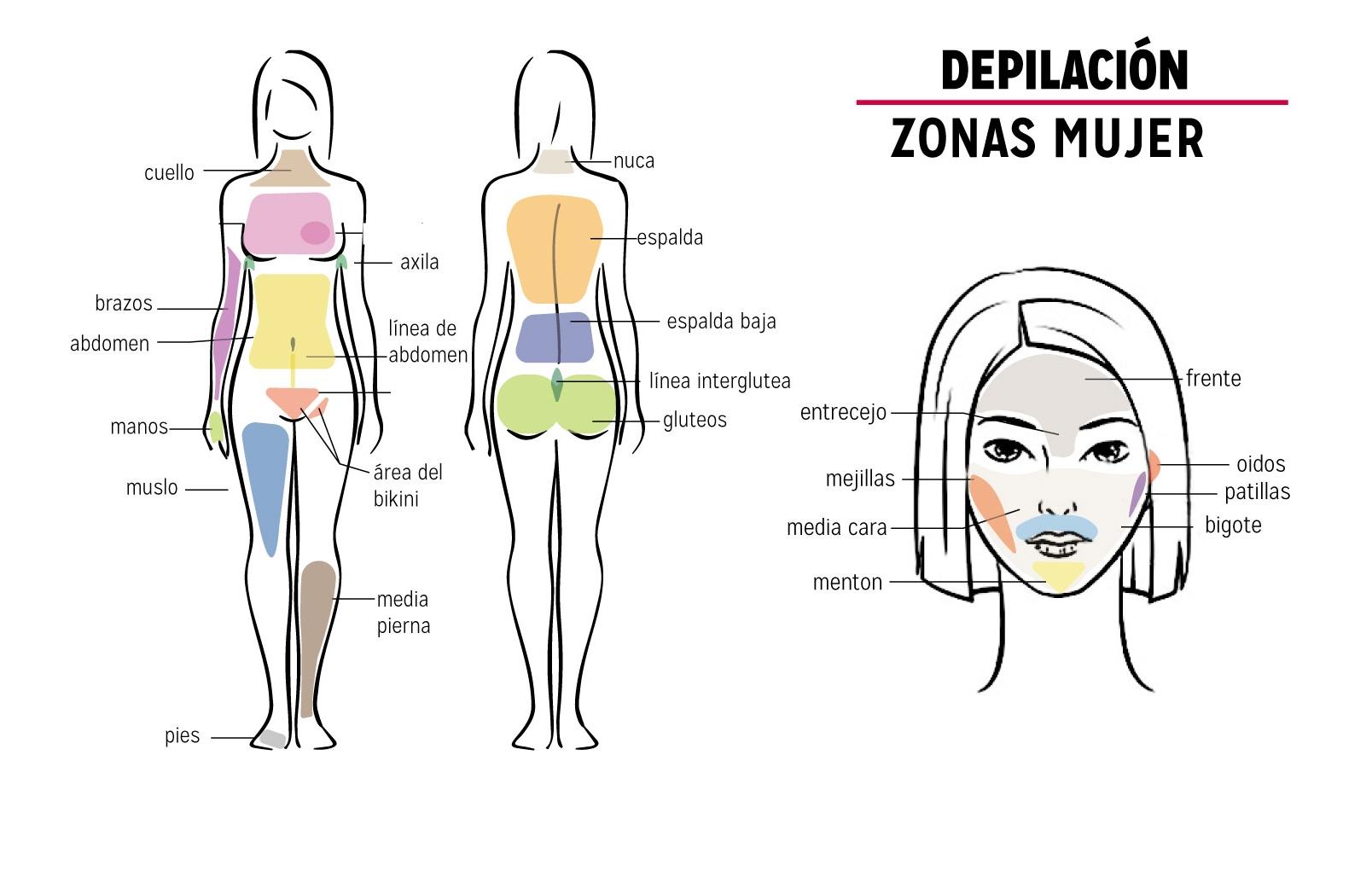 Zonas depilación laser mujer