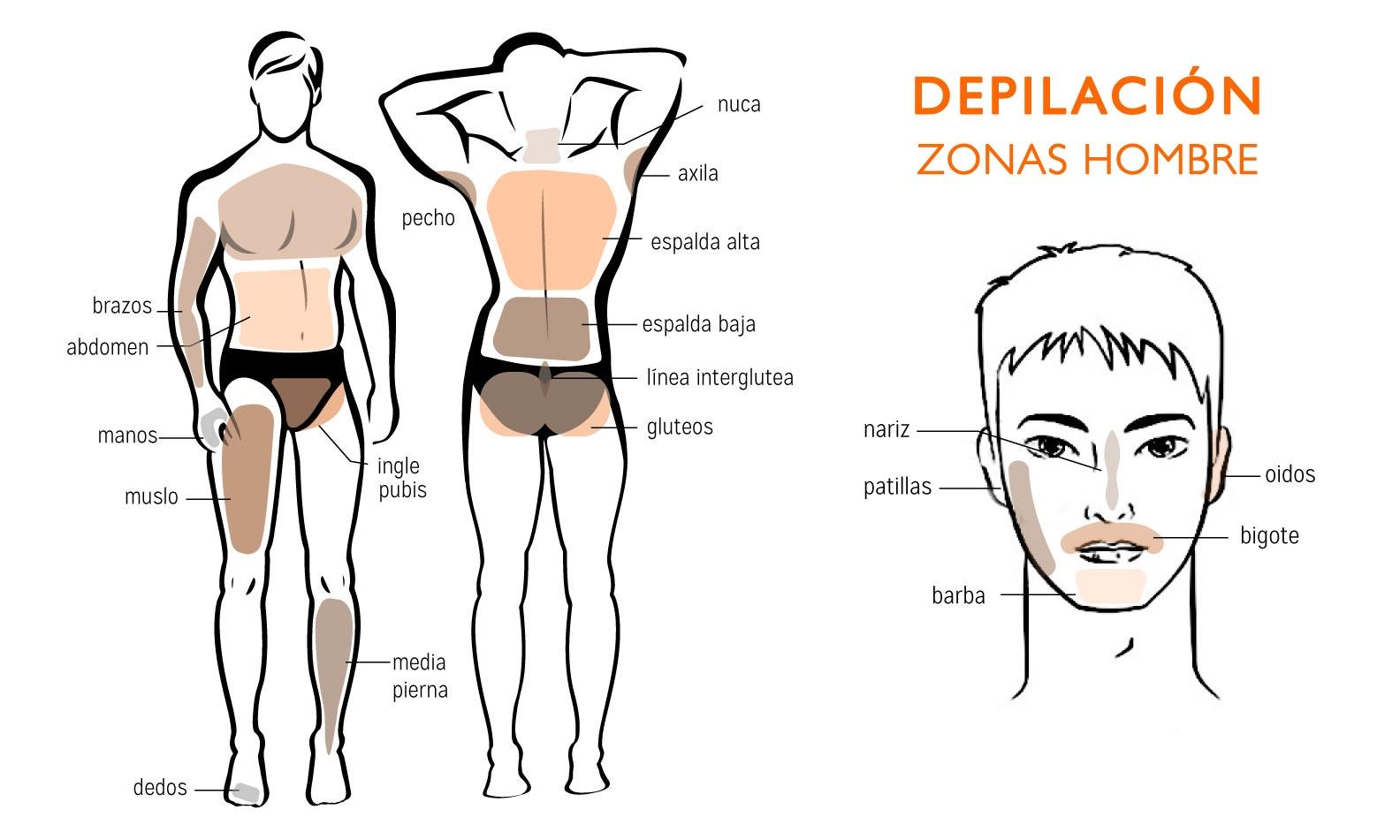 Zonas depilación Hombre
