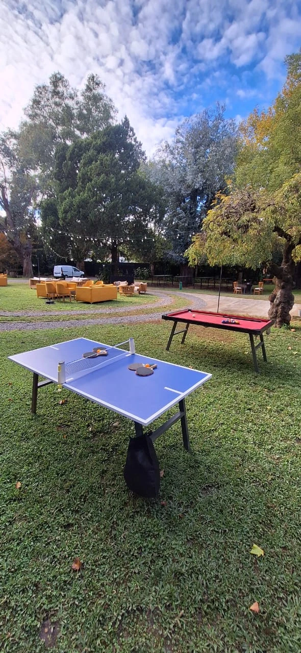 IMG-20260517-WA0009.webp