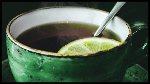 Empaque, distribución y venta del mejor limón de México