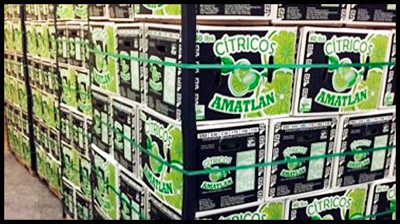 Cosecha de Limón