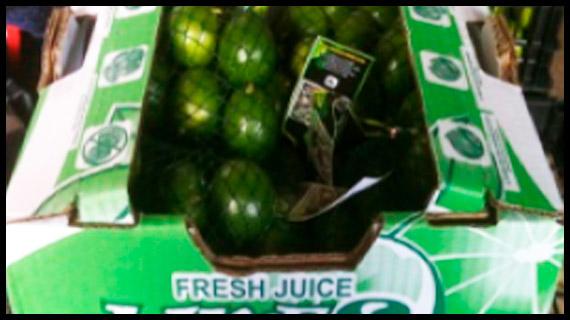 Cosecha de Limón