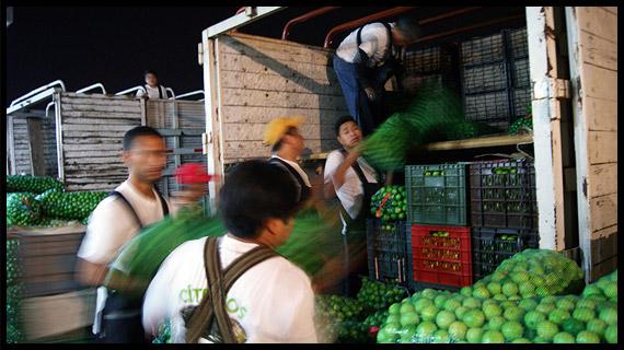 Empaque, distribución y venta del mejor limón de México