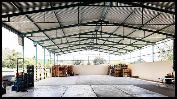 Empaque, distribución y venta del mejor limón de México