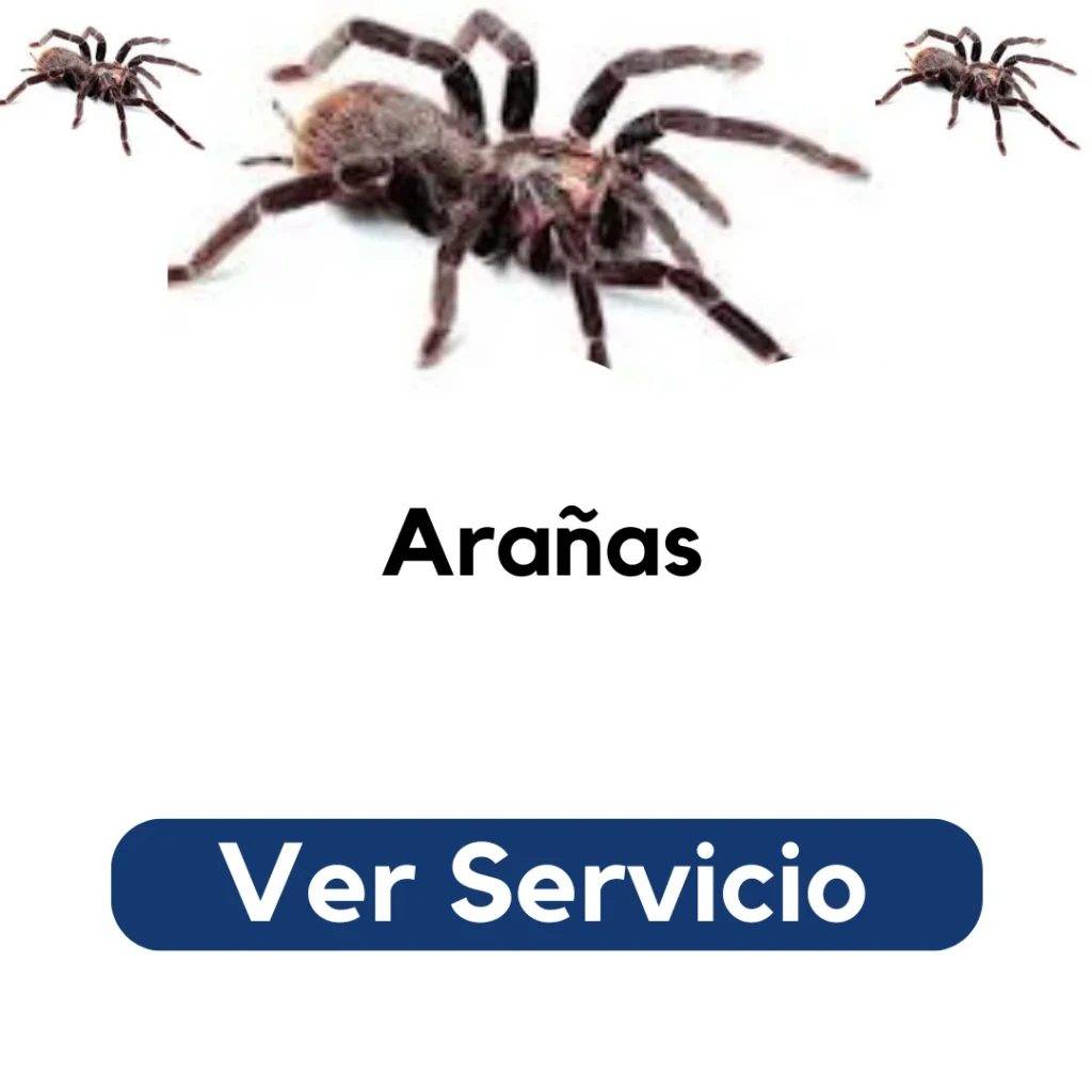 Técnico aplicando fumigación en rincón de dormitorio para eliminar arañas peligrosas. Servicio profesional de Py Construcciones en Santiago.