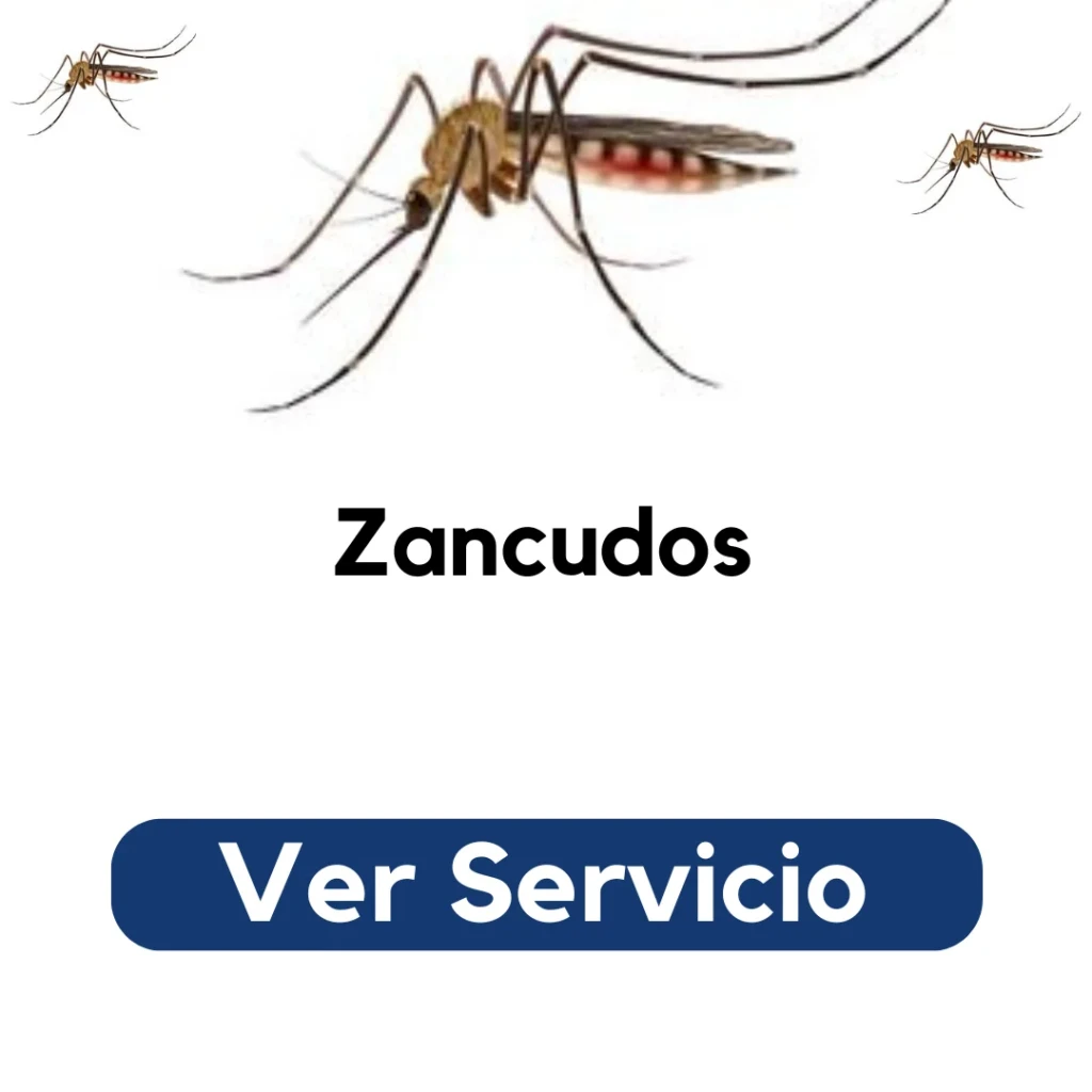 Técnico de Py Construcciones realizando fumigación ambiental para eliminar zancudos en patio residencial en Santiago