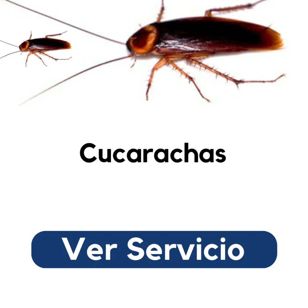 Aplicación de fumigación profesional contra cucarachas en cocina residencial en Santiago — servicio certificado por Py Construcciones