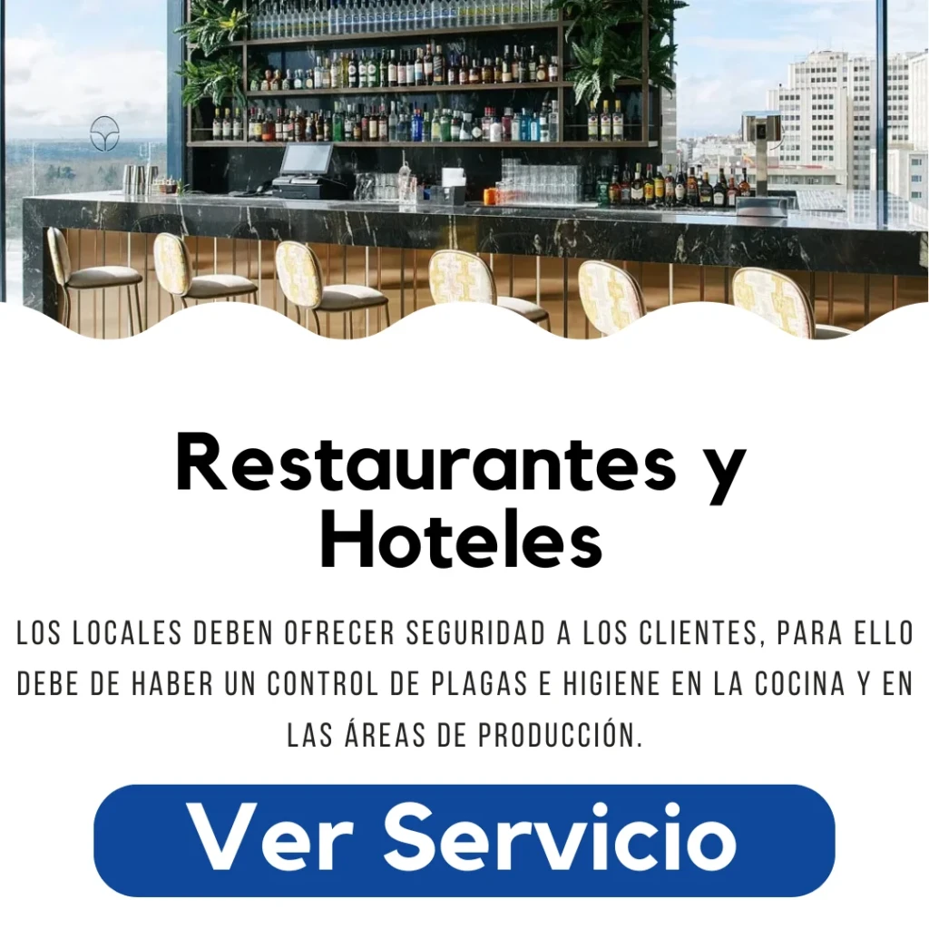 Fumigación profesional en cocina de restaurante y habitación de hotel en Santiago — control de plagas certificado por Py Construcciones
