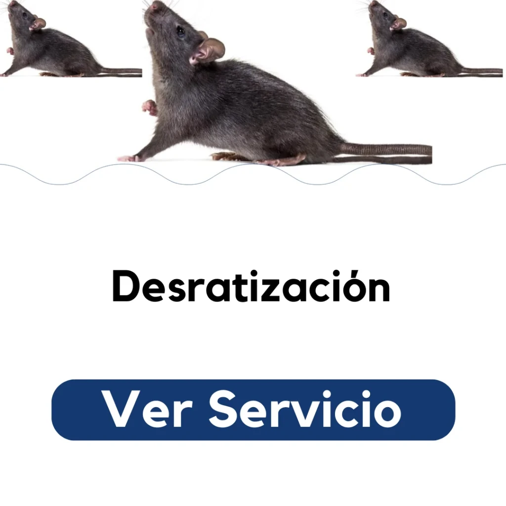 Técnico aplicando tratamiento de desratización en bodega para eliminar ratas y ratones. Servicio profesional de control de roedores en Santiago por Py Construcciones.