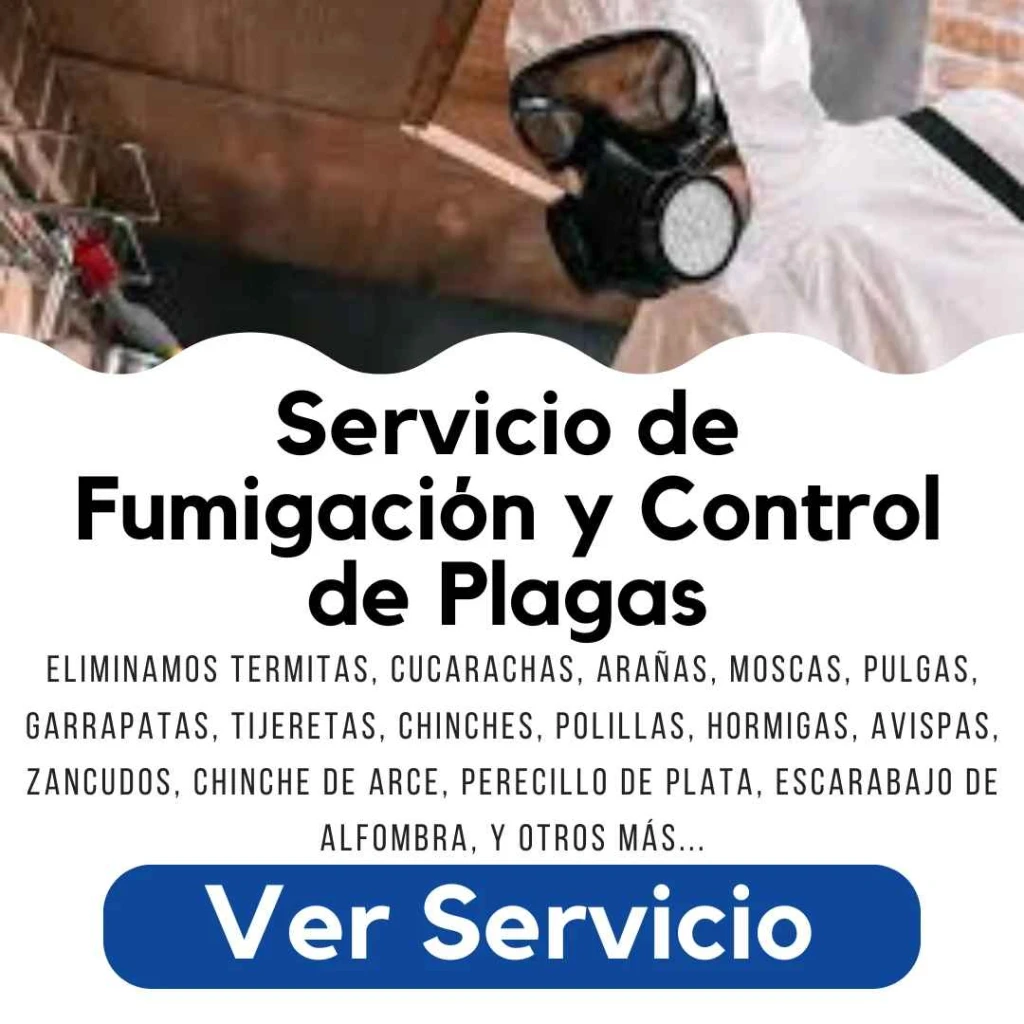 "Fumigación profesional y control de plagas en Santiago para hogares, oficinas y locales comerciales por Py Construcciones"