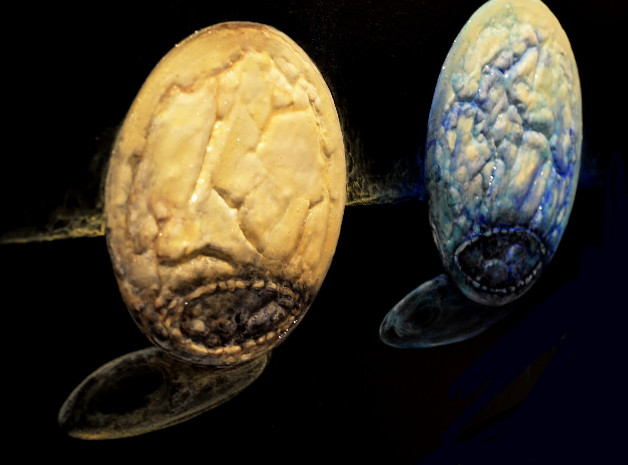 VAMANA (2015) detalle