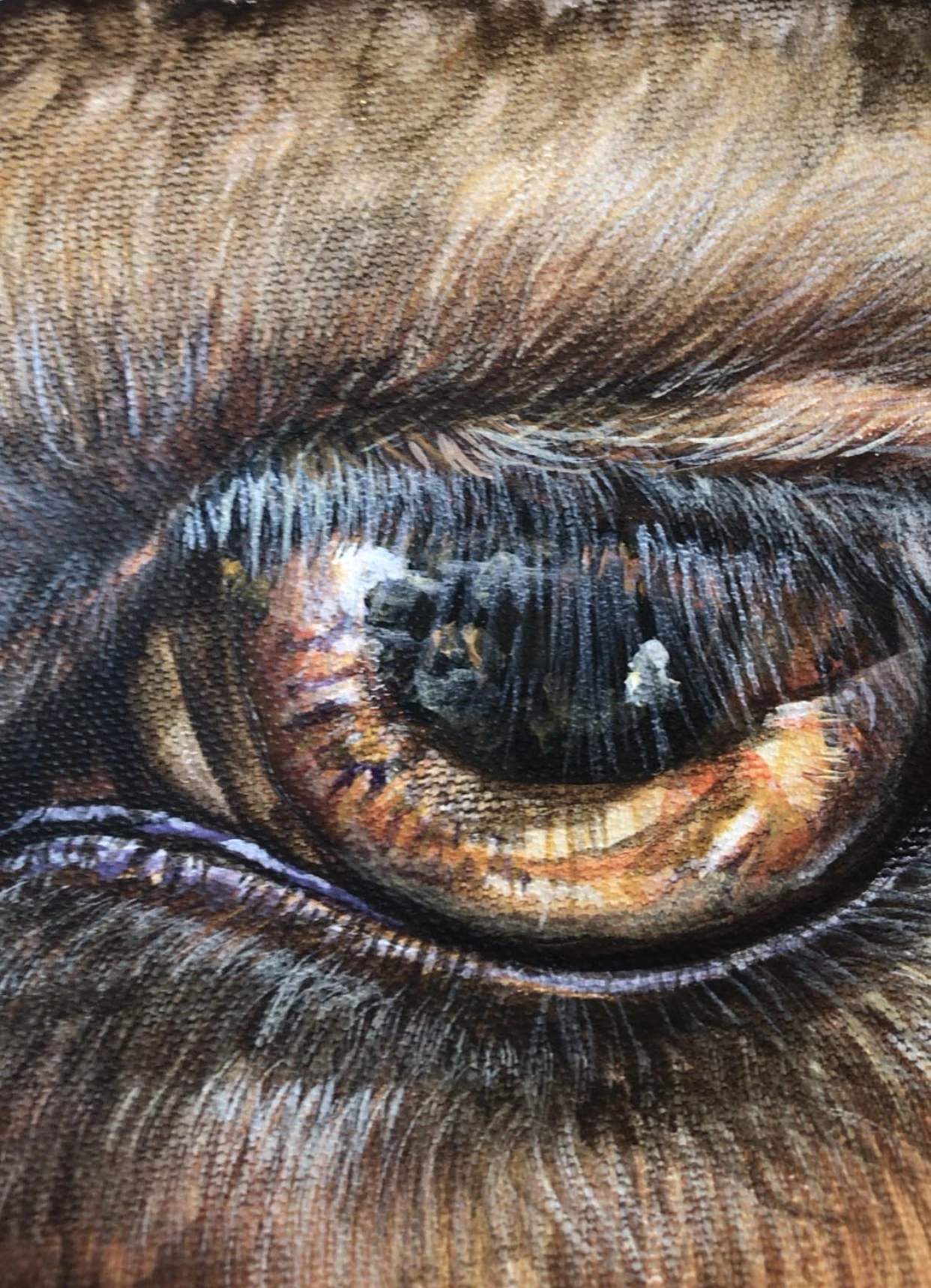 CAMELLO (2019) detalle