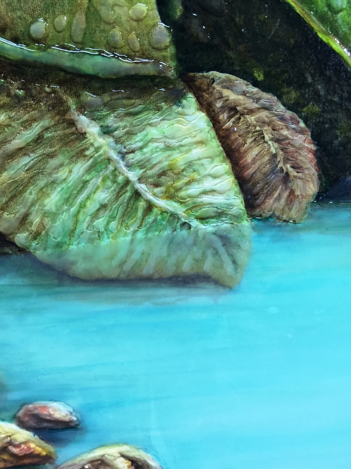 MI TIERRA (2016) detalle