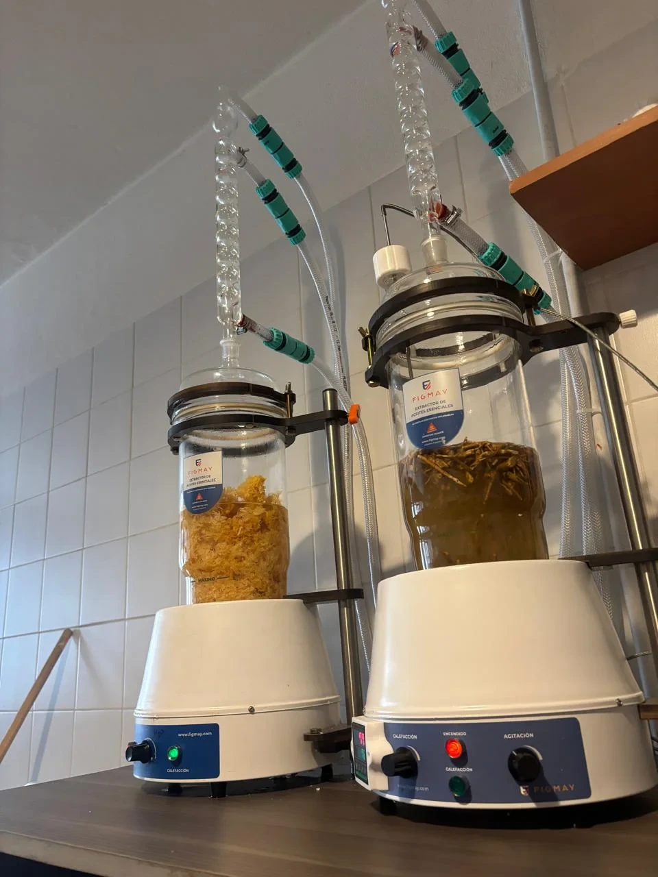 Elaboración de extractos naturales de hongos mediante doble extracción en laboratorio Fungiteca