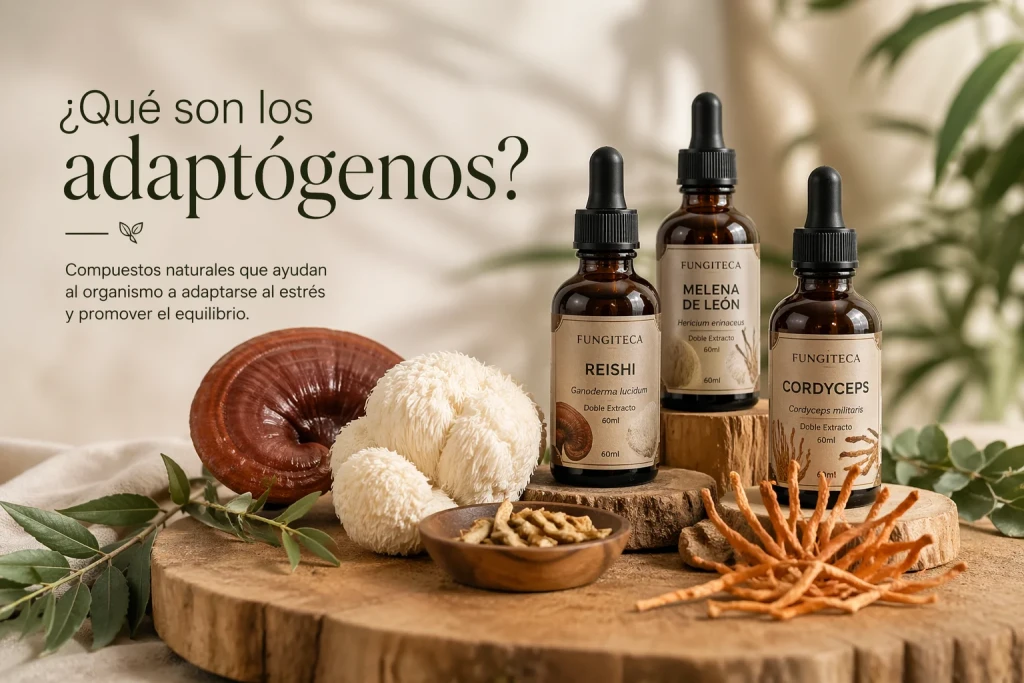 Qué son los adaptógenos y para qué sirven | Guía completa