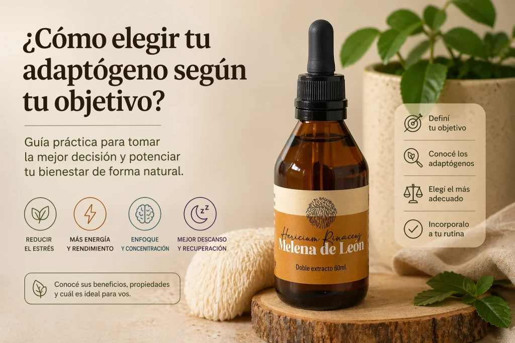 Cómo elegir un adaptógeno según tu objetivo