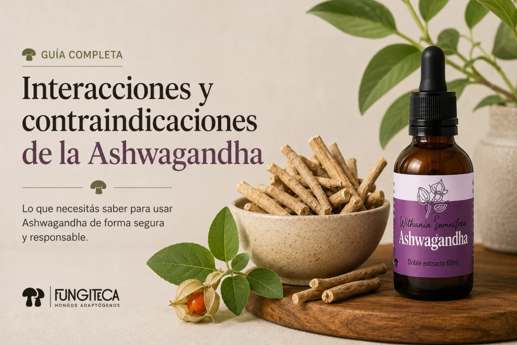 Interacciones y contraindicaciones de la Ashwagandha