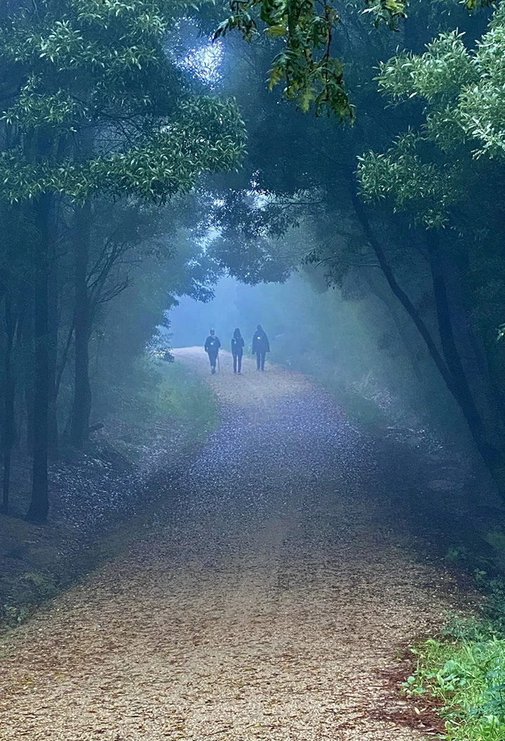 Mañana en el camino