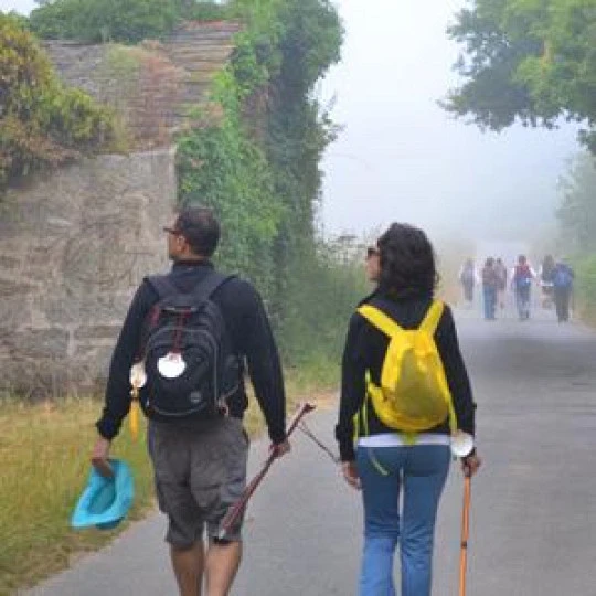 Camino de Santiago