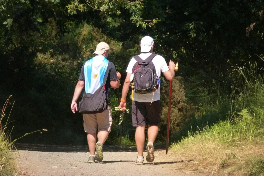 Camino de Santiago