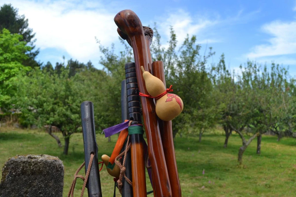 Bastones del camino