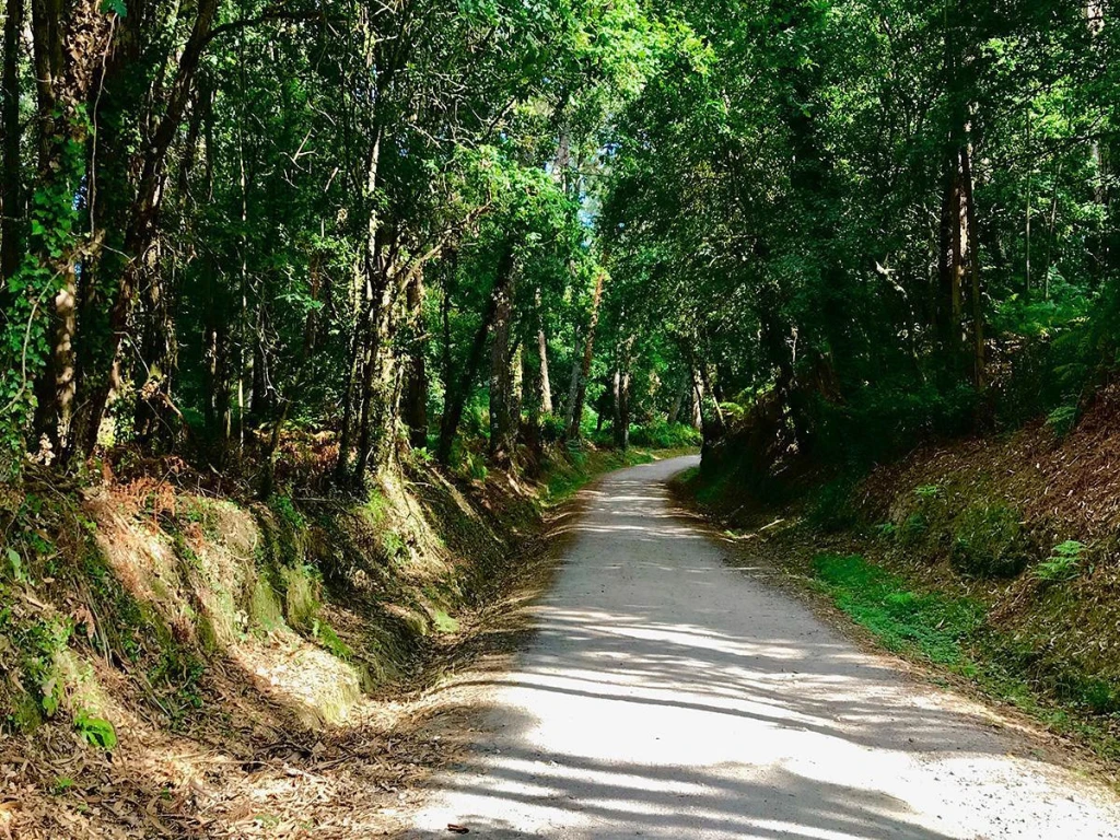 Camino de Santiago