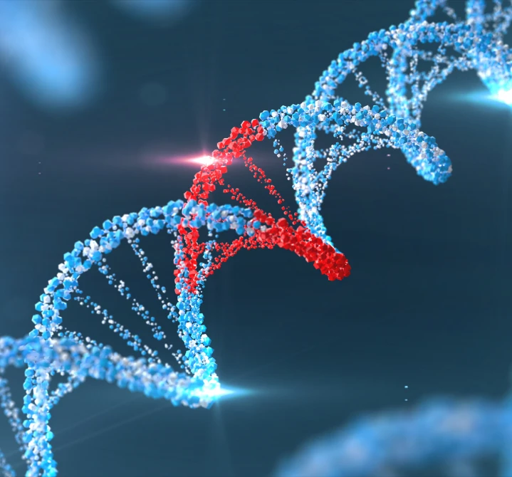 Fondo cambio cultural