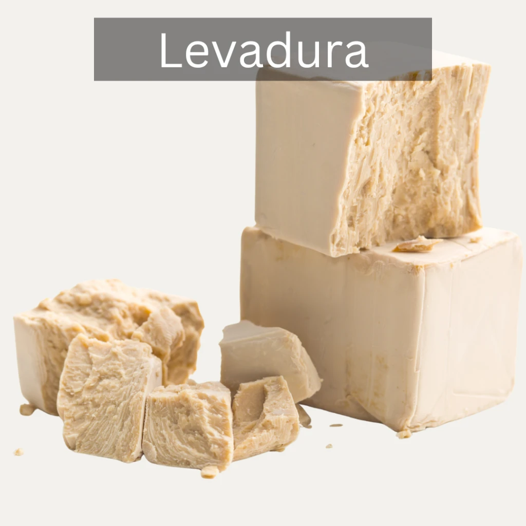 Levadura.webp